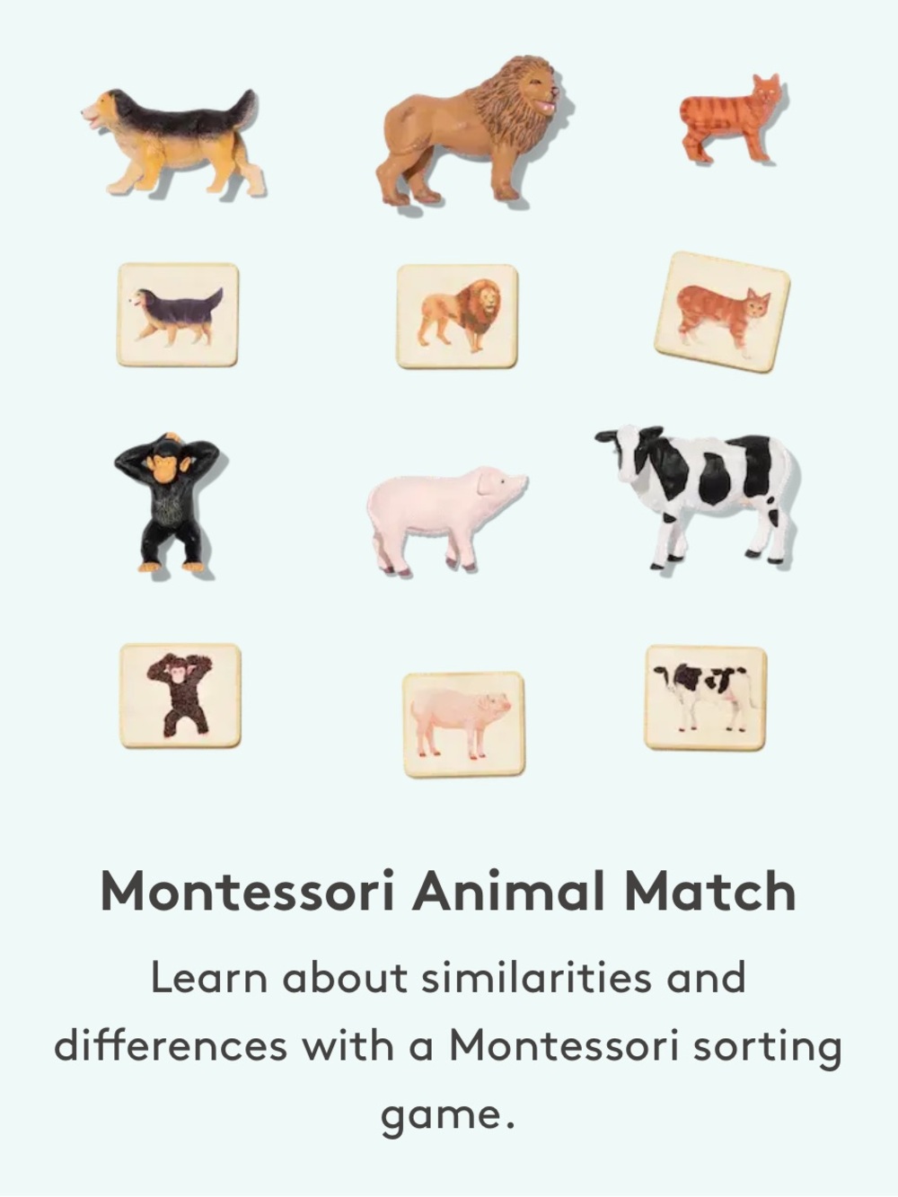 Lovevery Montessori Animal Match